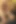 Natasha Starr anal parmaklıyor ve sert göt sikişi canlı