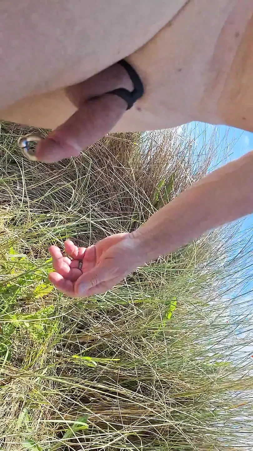 Una passeggiata tra le dune
