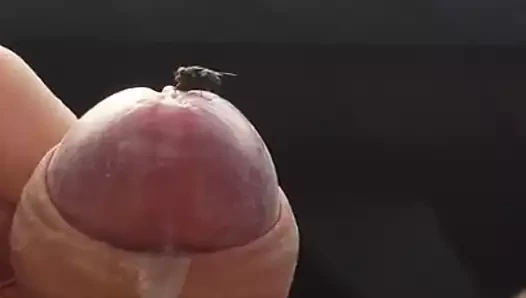 Geil im Sonnenschein...