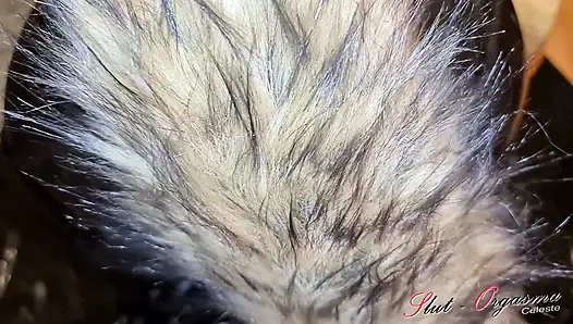 Sürtük-orgasma celeste köpek sürtüğü at yarağını seviyor