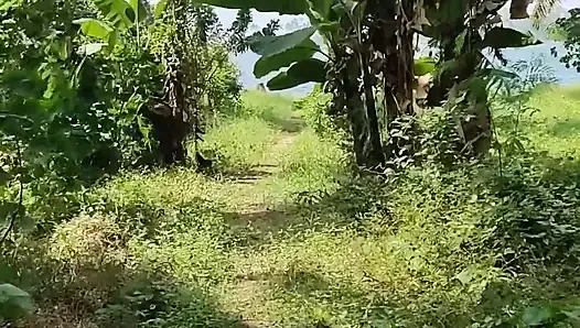 Писсинг в видео от первого лица на пальмовой плантации