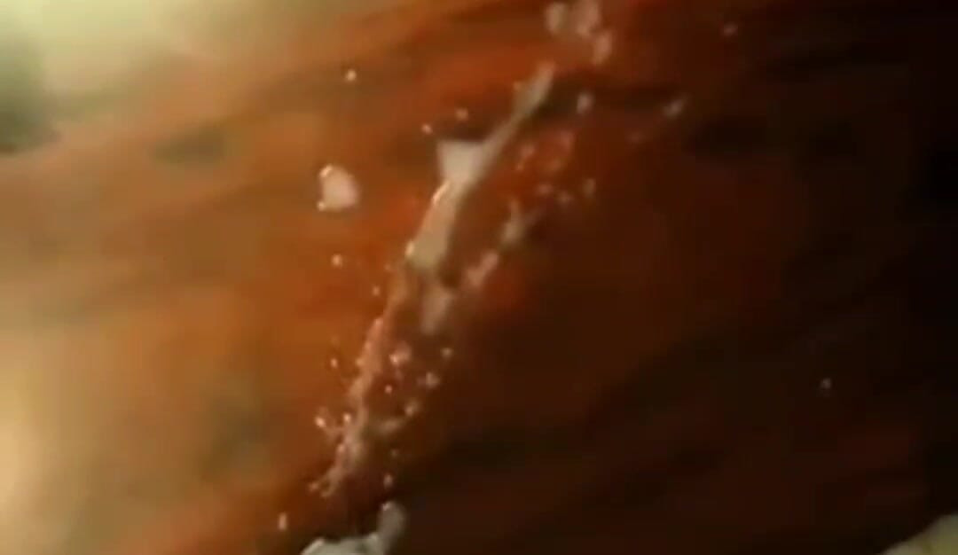 Open your mouth, show me how you're willing to swallow my entire load..