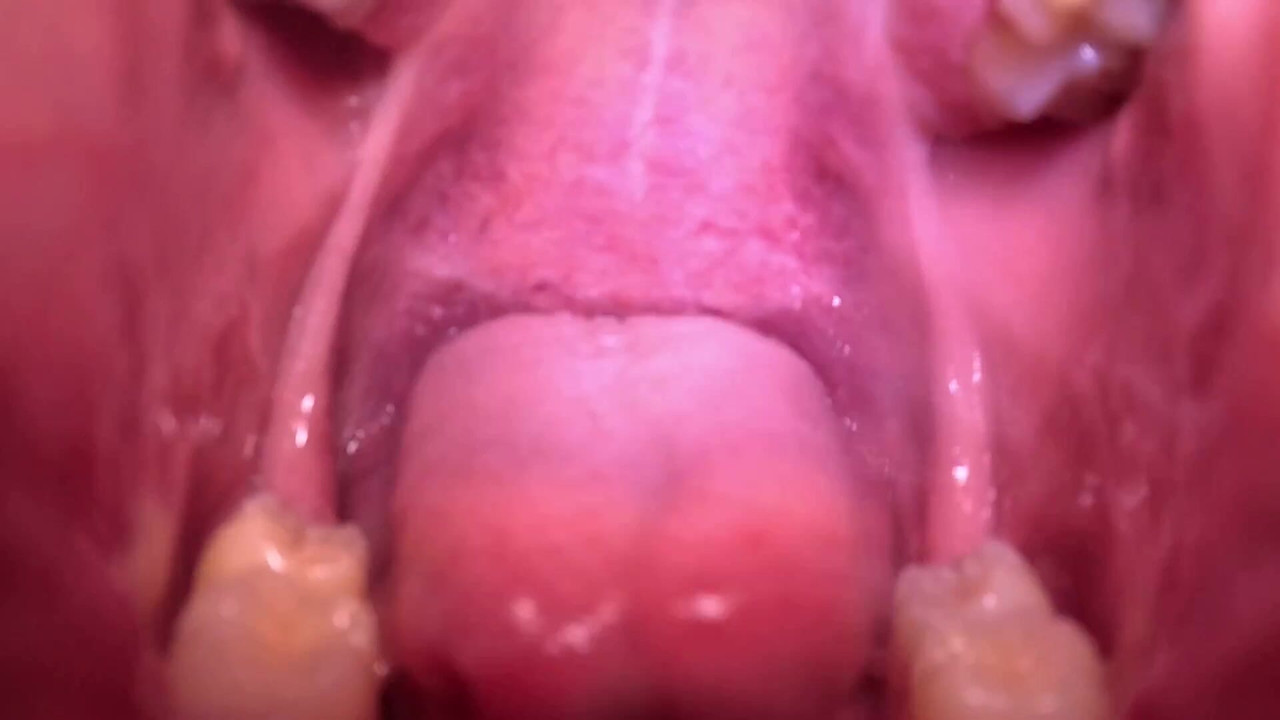 POV: Você é minha presa e estou com muita fome