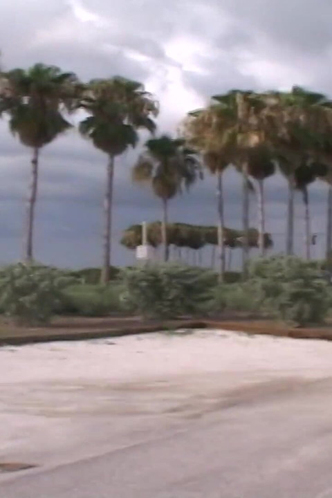 Three Hotties Play Naked on a Public Beach