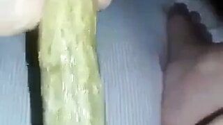 我的阴户喜欢黄瓜