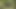 Zolee se dezbracă în pădure și apoi ejaculează