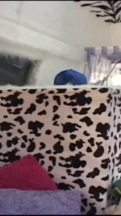 Brunette college student teen with natural tits gets a facial after car sex | Clip 2