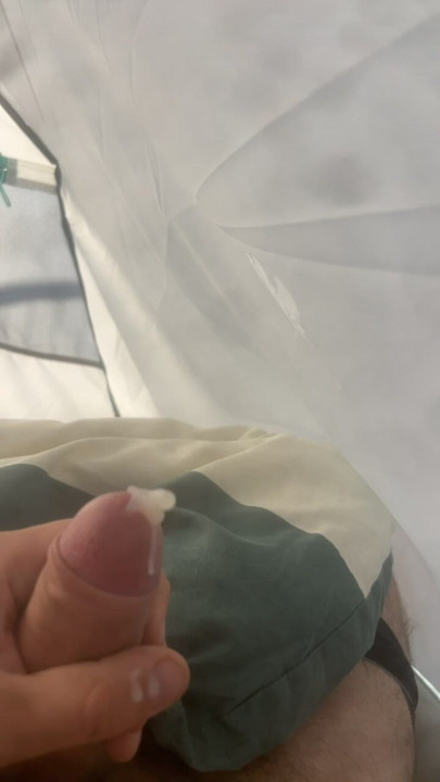 Coli di tenda