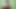 I would like to be a porn actress to show what I am worth and have