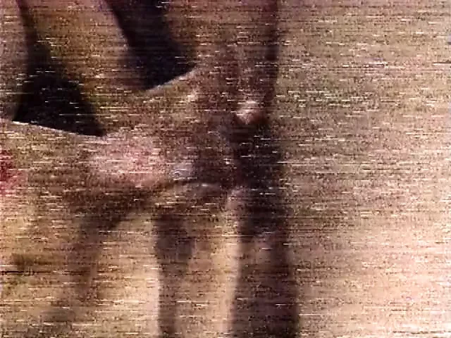 스타 84 티나 마리 이야기 (1984)