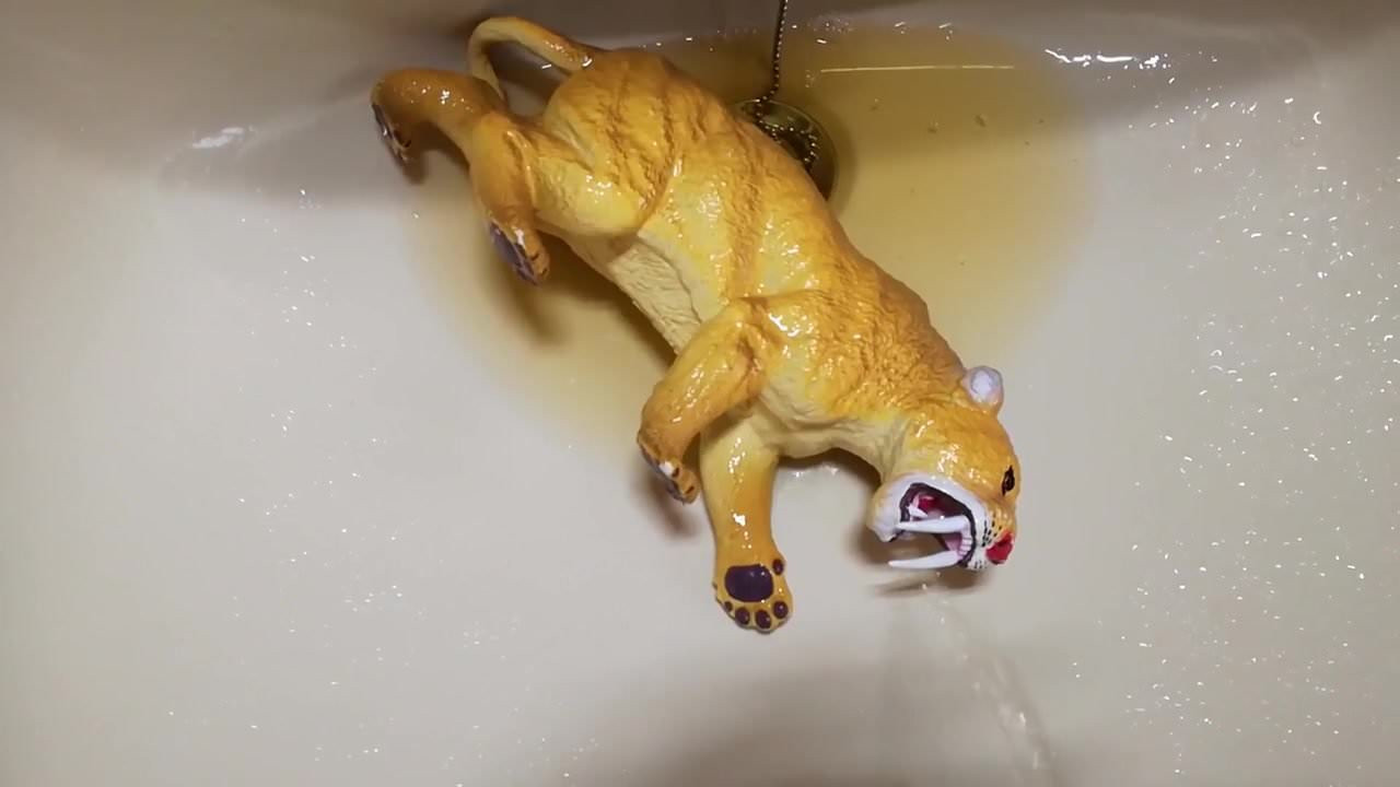 Sabertooth figure gets a golden shower