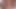 SWALLOWED Lily, Rylee and Arielle sucking on a big hard cock