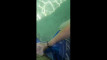 Pregled videozapisa
