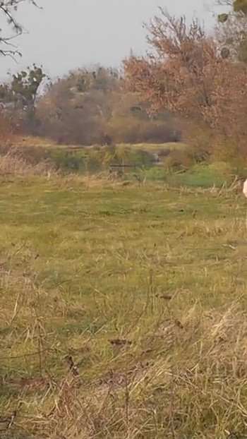 Powerful moment from "Naked in public. Outdoors sexy woman Milf without panties and bra playing sports Outside. Natural"