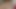 sexy trans girl masturbates and cums huge load