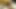 Tombul Amazon büyük zenci yarağının tadını çıkarıyor