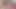 Two Tattooed Chicks Fuck with a Huge Double Ended Dildo