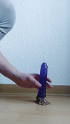 Pregled videozapisa
