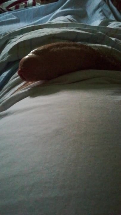 teasing
