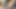 young boy long hard brown dick teasing head and ejaculate fastly