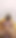 からの忘れられない瞬間 "義理の妹のサリー、ブラジャーベルトを身に着けて、義理の弟はペニスを振って精液を取り出しました"