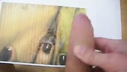 Jay'in güzel amcık