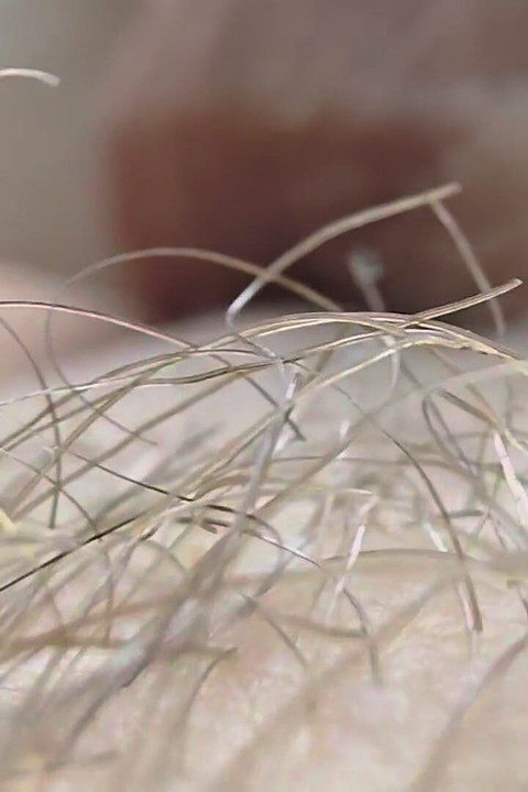 マクロのチンコ