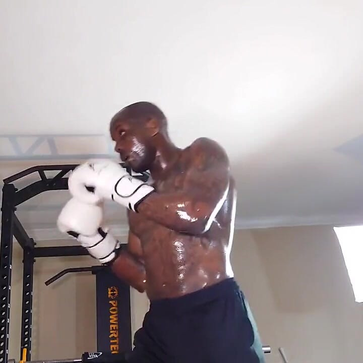 Boxing Workout Local Core Muscles Generally Attach on or Near the Vertebrae. Local Muscles Provide Dynamic Control of the Spinal