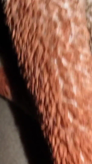 Desi bhabhi ka gand mara | Clip 3