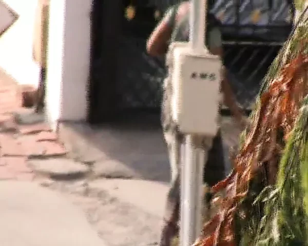 Desi kamwali em sexy cat walk