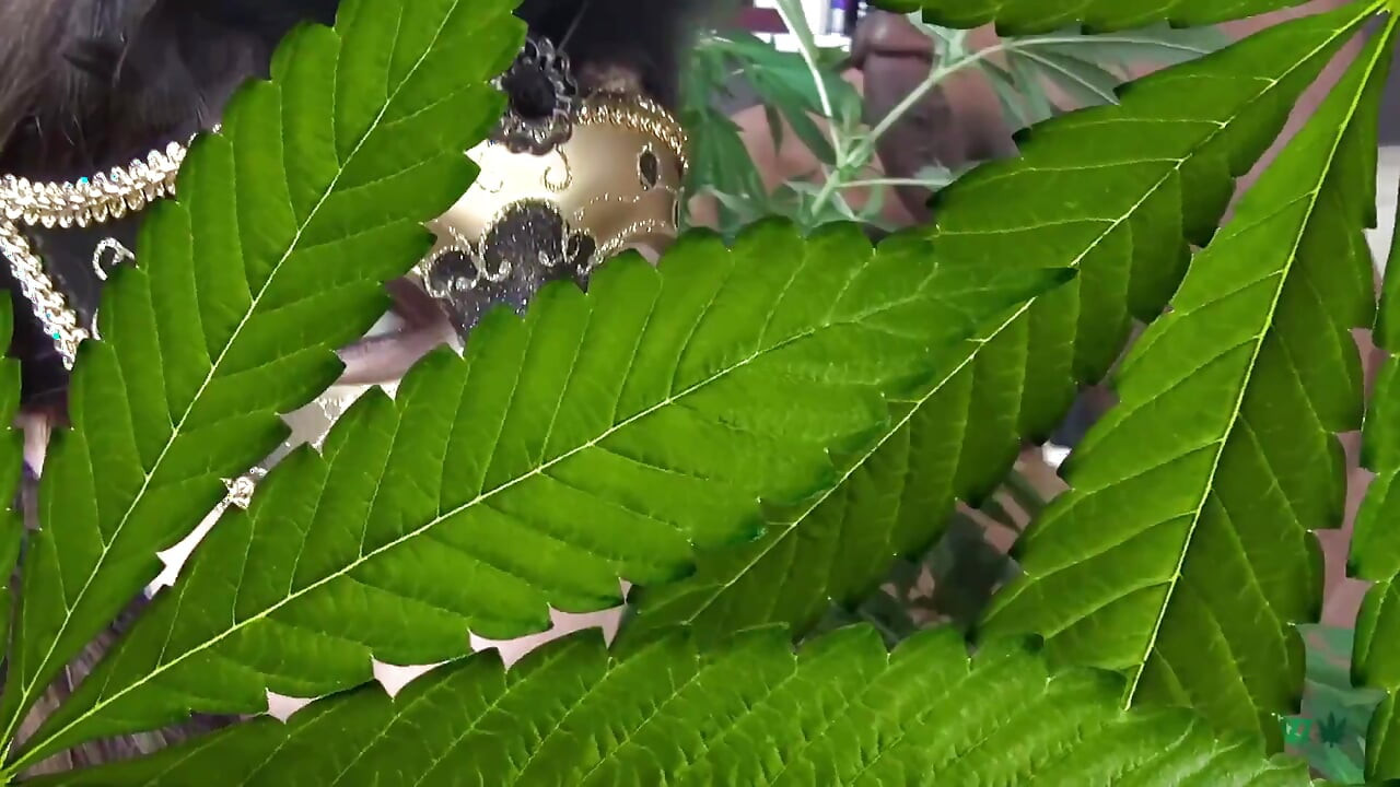 Petite teen double blowjob