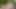 HUNT4K. Blonde made her boyfriend cuckold and enjoyed the amateur outdoor fuck