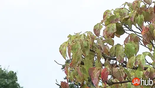 Ami maejima si pria tua yang lagi sange dicrot di dalam