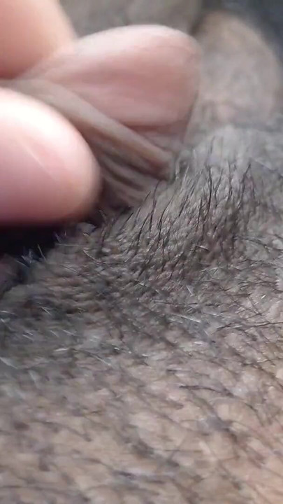 FTM having some fun with himself | Clip 1