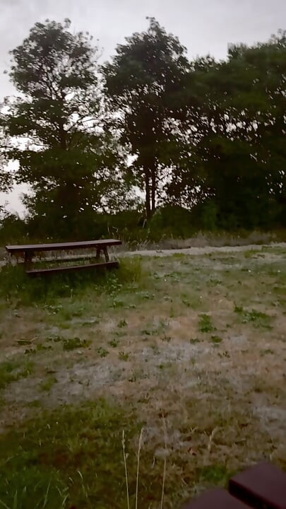 Naked in park standing on benches naked vehicles pass close
