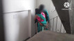 Pratinjau video