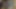 Bengalli kıllı büyük göt