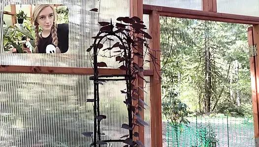Bitkilerimi İçeri Taşıyorum
