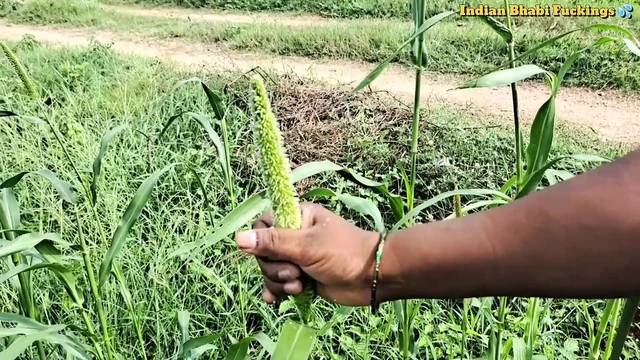Sumitha Bhabi Affair Neighbour Husband Fuck Hardcore Session Showing Boobs Outdoor Lick My Pussy Showing Sex xxx  Clear Audio