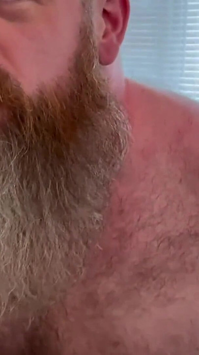 Captivating moment from "You Like Hairy Guys?  3 Bears Breed"