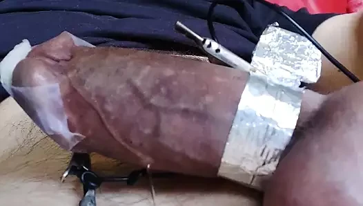 estim sağım