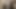 Zwei reife Schlampen ficken sich die Muschis