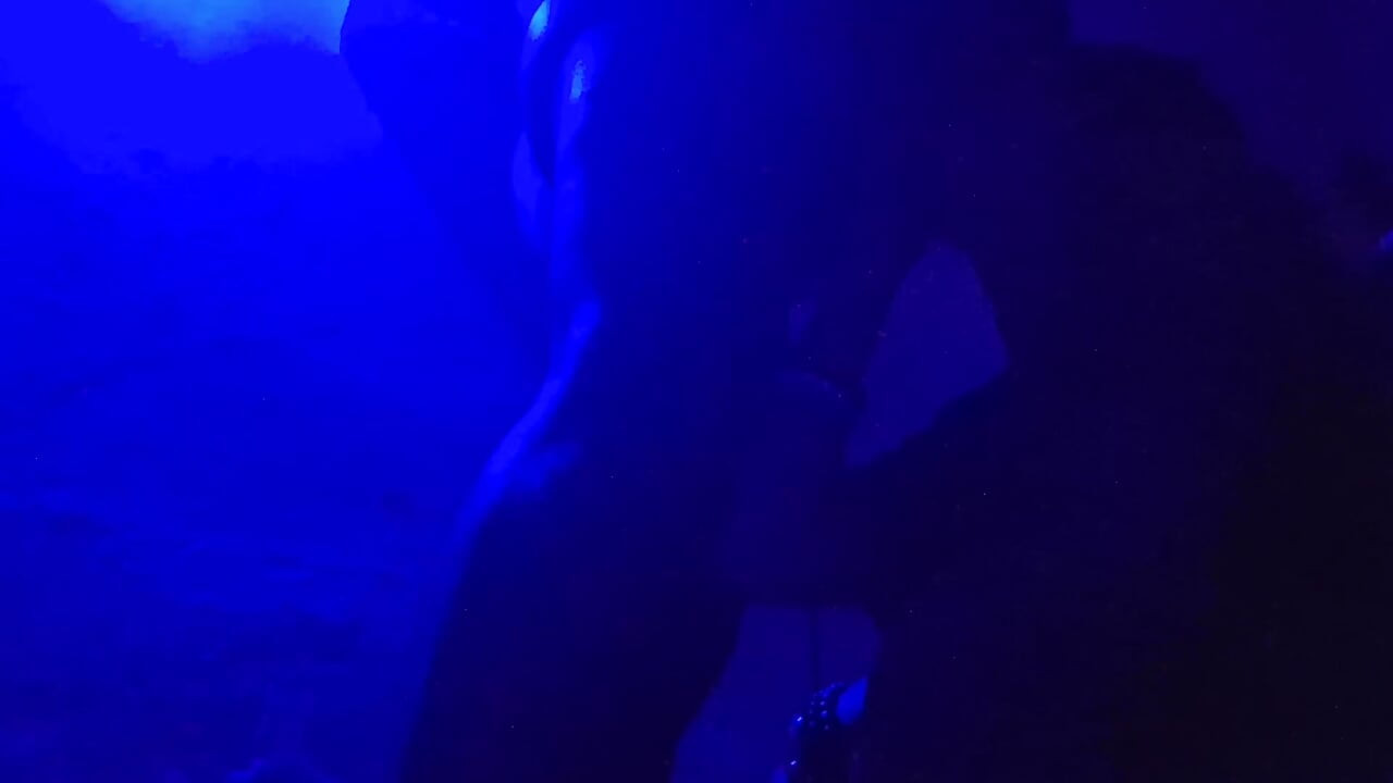 Desi Chudai Indian Hot Couple Fuck Hardcore Fucking