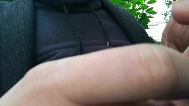 Tailor