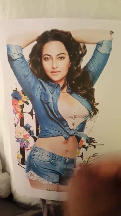 Sonakshi sinha sıcak sağladım