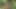 Daddy Getting Fucked in the Forest