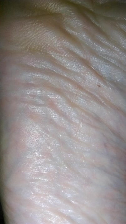 Wife's feet