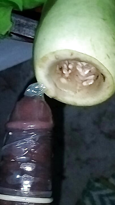This big and thick is just for skinny sisters-in-law.
