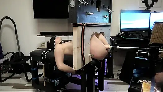 Раб становится обученным O на пятый день