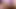 Şişman götlü travesti bir arabanın kaputuna sakso çekiyor ve sonra sikiliyor